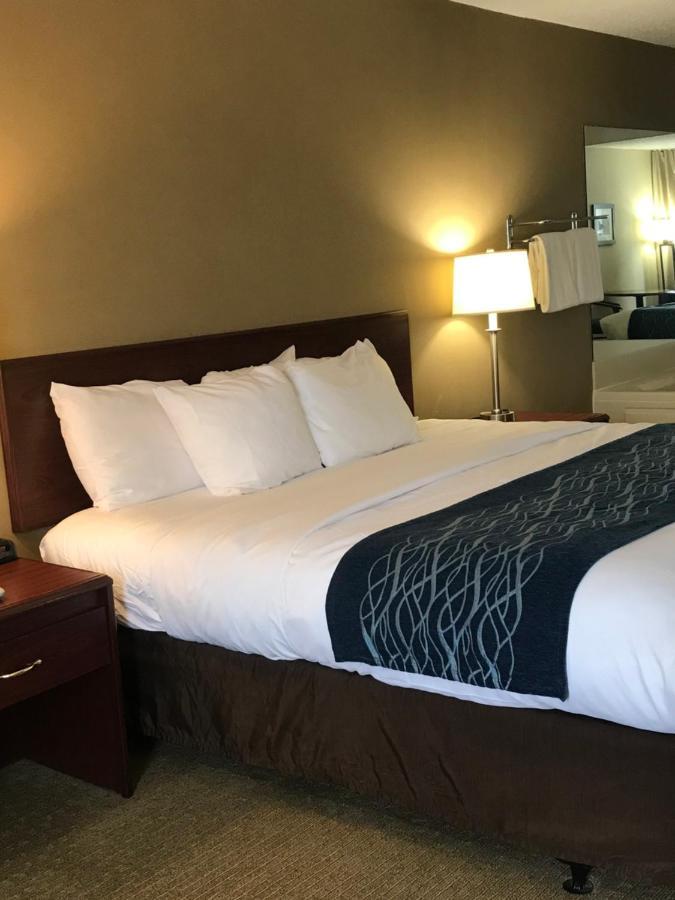 Comfort Inn Cambridge Extérieur photo