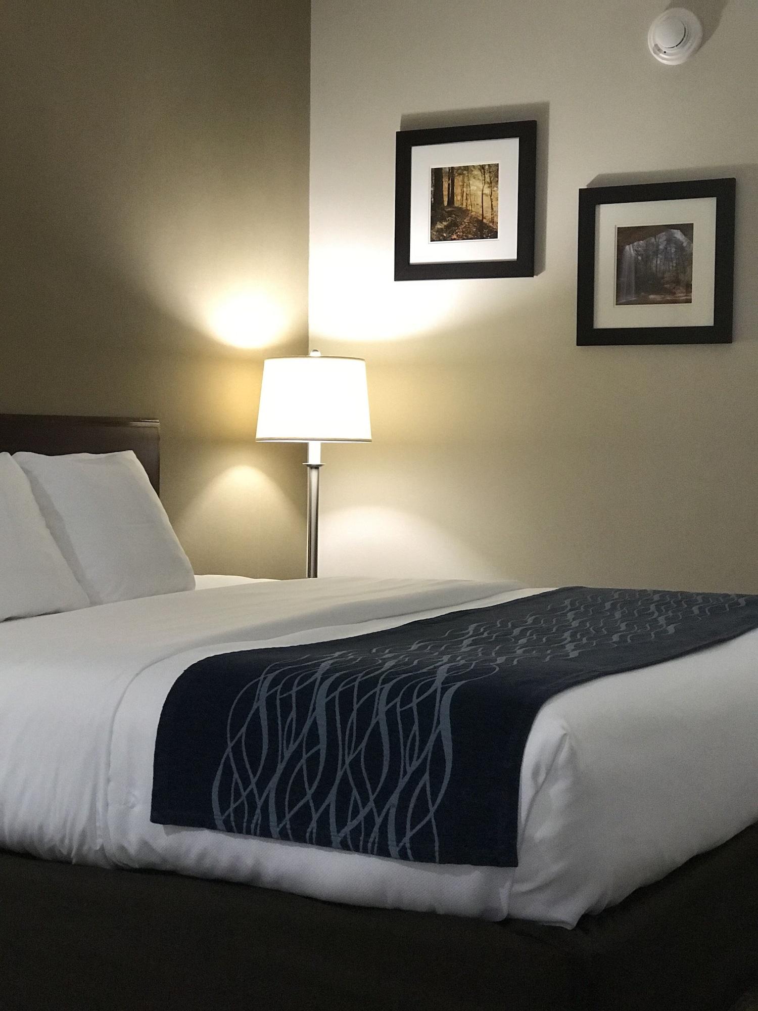 Comfort Inn Cambridge Extérieur photo