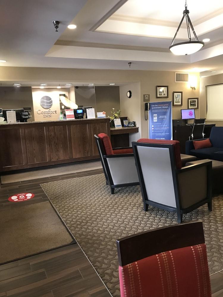 Comfort Inn Cambridge Extérieur photo
